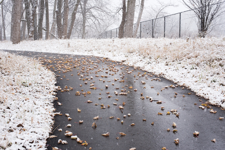 Park under a first snowの写真素材