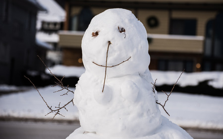 Snowmanの写真素材