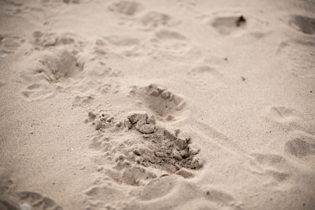 Steps on a sandの写真素材