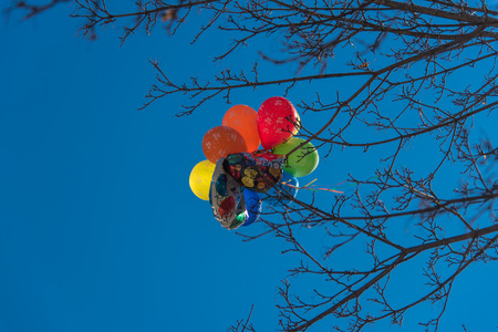 Air baloons on a treeの写真素材