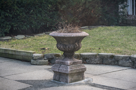 Flowerbedの写真素材