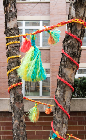 Decoration on a treeの写真素材