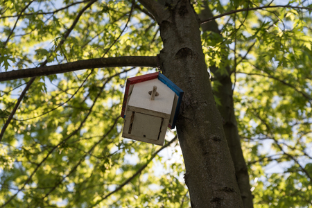 Small wooden birds house on a tree in a parkの写真素材