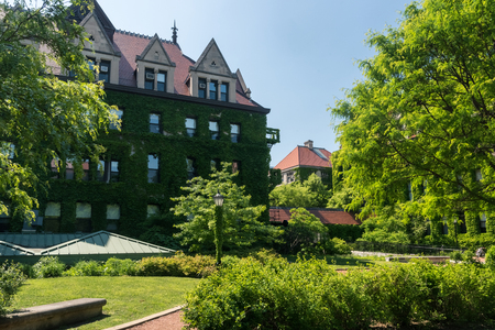 Big old stone building with an ivy on the wallの写真素材