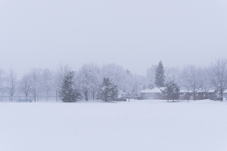 Suburban school field in a park under a heavy winter snowの写真素材