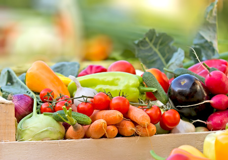Fresh organic vegetablesの写真素材