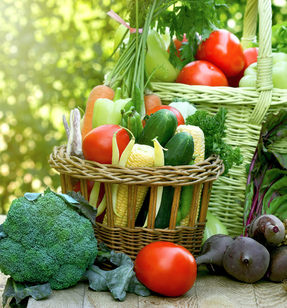 Fresh organic vegetables on tableの写真素材