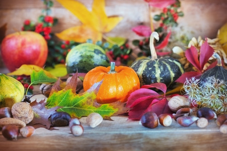 Rich autumn harvest - autumn fruits and vegetablesの写真素材
