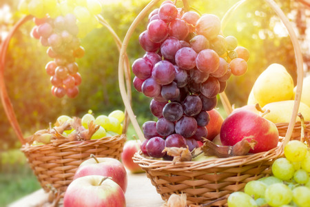 Autumn is rich with sweet fruits - fresh organic fruitsの写真素材