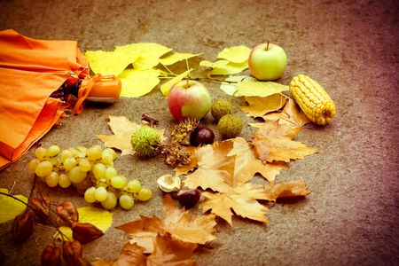 Seasonal fruits - autumn conceptの写真素材