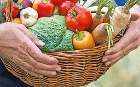 Wicker basket full of organic vegetables In hands of farmersの写真素材