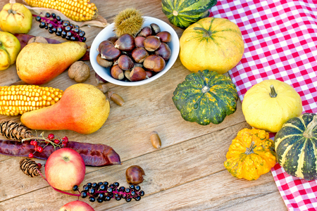 Autumn fruit and vegetable - harvest timeの写真素材