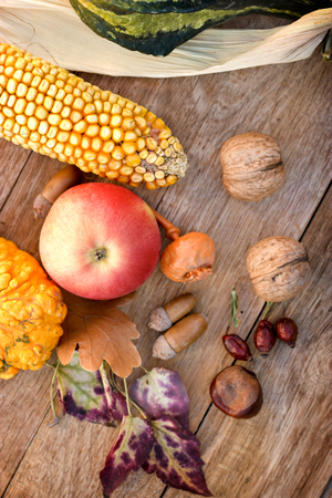 Autumn arrives with autumn harvestの写真素材