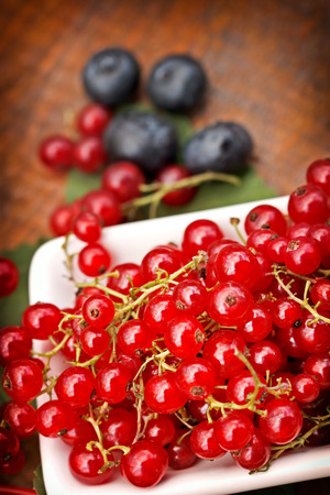 Red currant and cranberryの写真素材