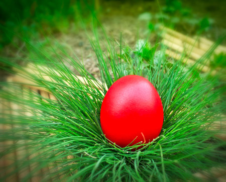 Red Easter egg