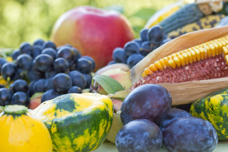 Autumn harvest - organic seasonal healthy food