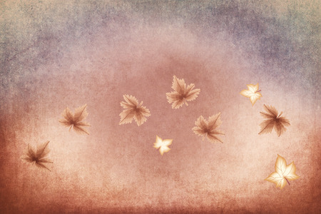 Illustration autumn leaves - backgroundの写真素材