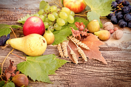Healthy food - eating organic fruits (autumn fruits on rustic wooden background)の写真素材