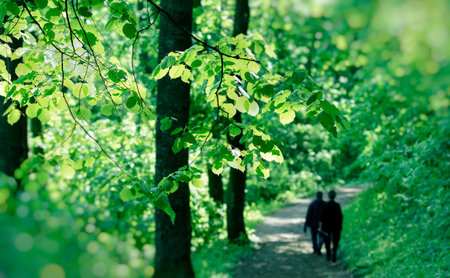 Spring in forest, two elderly persons (pensioners) walks in forest