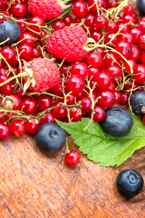Fresh organic forest berry fruit - healthy eating, healthy vegetarian foodの写真素材