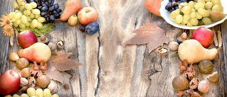 Healthy food on rustic table, seasonal - autumn organic fruitの写真素材