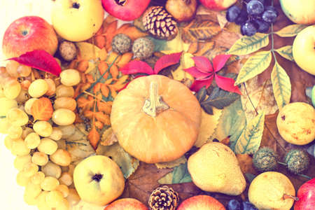 Autumn harvest, healthy organic food in vegetarian dietの写真素材