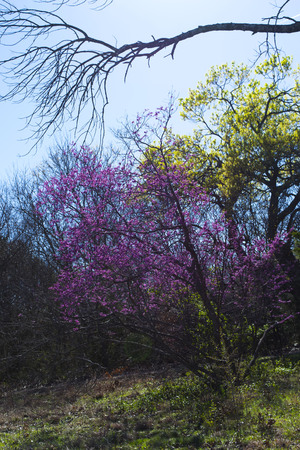 Different colors always suits me.の写真素材