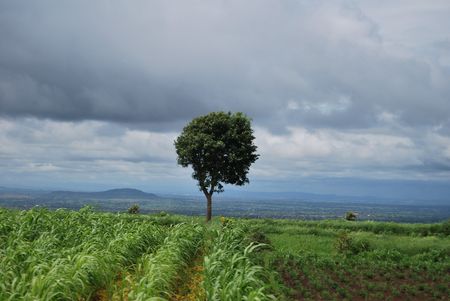 landscapeの写真素材