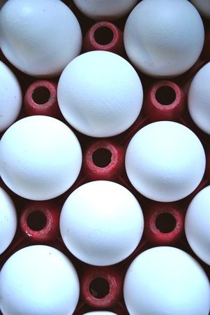 white  eggs in a trayの写真素材