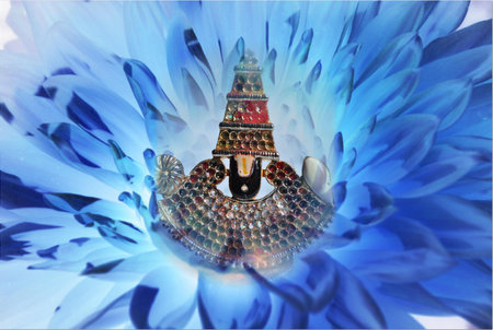 balagi in blau flower backgroundの写真素材