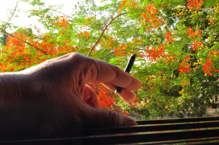 human hand holding cigaretteの写真素材