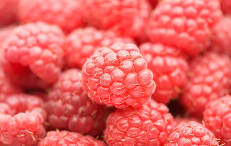 Red raspberries  (background)