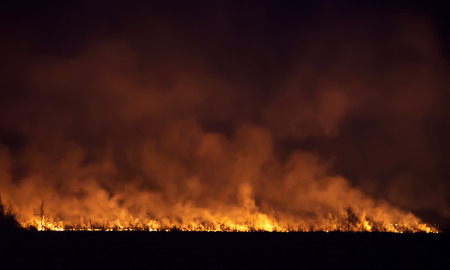 Night fire in a field.の写真素材