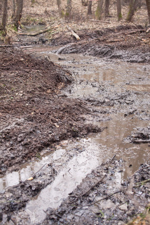 The road out of the mud in the woods.