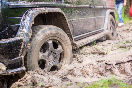 SUV got stuck in the mud in the forest, off-road.