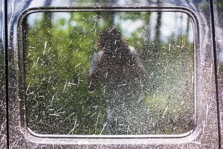 Splashes of mud on the car glass.の写真素材