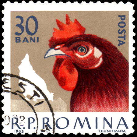 ROMANIA - CIRCA 1963: Postage stamp printed in Romania, shows hen, a series of poultryのeditorial素材
