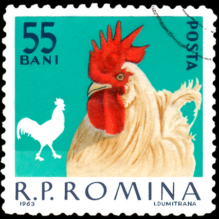 ROMANIA - CIRCA 1963: Postage stamp printed in Romania, shows cock, a series of poultryのeditorial素材