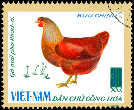 VIETNAM - CIRCA 1968: post stamp printed in Vietnam shows hen, a series of domestic fowlのeditorial素材
