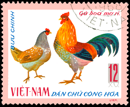 VIETNAM - CIRCA 1968: postage stamp printed in Vietnam shows cock and hen, a series of domestic fowlのeditorial素材