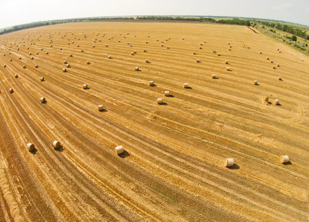 View from a birds eye view on a field with stacked bales of wheat