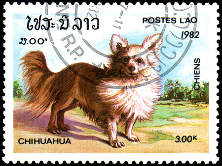 LAOS - CIRCA 1982: a postage stamp, printed in Laos, shows a Chihuahua dogのeditorial素材