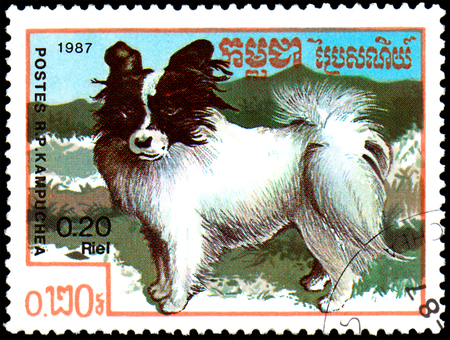 KAMPUCHEA - CIRCA 1987: postage stamp, printed in Kampuchea, shows a Papillon dog, series breeds dogsのeditorial素材