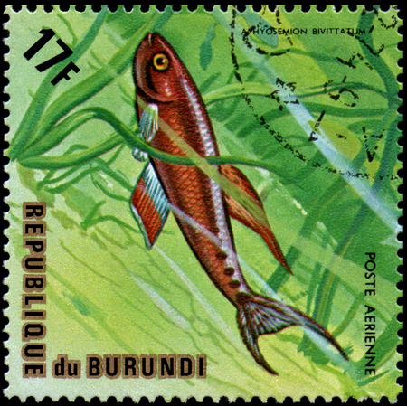 REPUBLIC OF BURUNDI - CIRCA 1974: postage stamp, printed in Burundi, shows a fish Twostripe Lyretail Aphyosemion bivittatumのeditorial素材