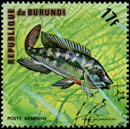 REPUBLIC OF BURUNDI - CIRCA 1974: postage stamp, printed in Burundi, shows a fish Redbelly Tilapia Tilapia melanopleuraのeditorial素材
