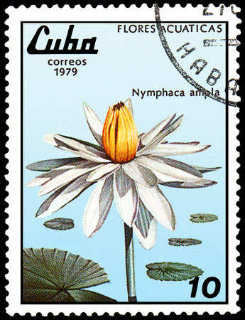 CUBA - CIRCA 1979: A postage stamp, printed in Cuba, shows a Nymphaea ampla, series water liliesのeditorial素材