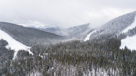 Aerial view of a forest in the mountains covered with snowの写真素材