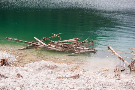 Fallen pines swim in the lake Lago Di Braies, Italy.