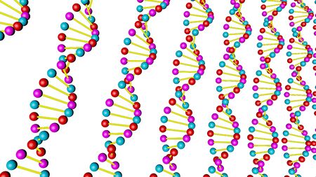 Render 3d DNA model on a white background.の写真素材