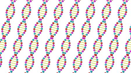Render 3d DNA model on a white background.の写真素材
